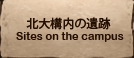 北大構内の遺跡