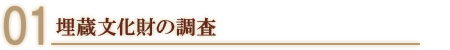埋蔵文化財の調査