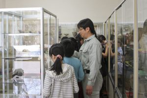 札幌市立みどり小学校