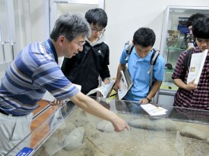 学生さん